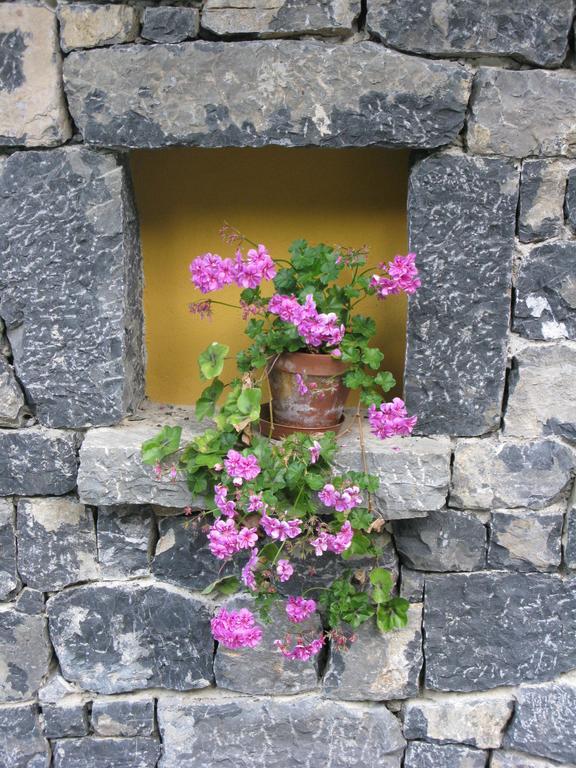Mini-hôtel La De Cucayo